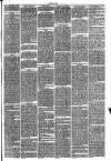 Hinckley News Saturday 13 March 1875 Page 3