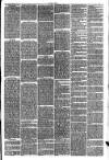Hinckley News Saturday 10 April 1875 Page 3