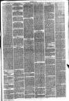 Hinckley News Saturday 04 September 1875 Page 3
