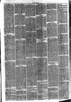 Hinckley News Saturday 30 October 1875 Page 3