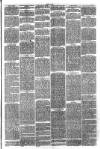 Hinckley News Saturday 08 April 1876 Page 3