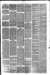 Hinckley News Saturday 13 January 1877 Page 3