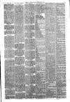 Hinckley News Saturday 10 February 1883 Page 3