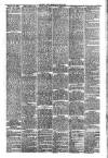 Hinckley News Saturday 14 March 1885 Page 3