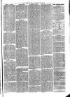 Warminster Herald Saturday 15 May 1869 Page 7