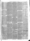 Warminster Herald Saturday 05 June 1869 Page 7