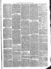 Warminster Herald Saturday 19 June 1869 Page 7