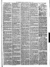 Warminster Herald Saturday 02 January 1875 Page 7