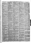 Warminster Herald Saturday 16 January 1875 Page 3