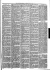 Warminster Herald Saturday 26 June 1875 Page 3