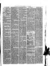 Warminster Herald Saturday 22 January 1876 Page 7