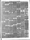 Bray and South Dublin Herald Saturday 25 November 1876 Page 3