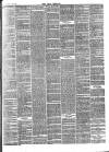 Bray and South Dublin Herald Saturday 06 April 1878 Page 3