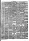 Bray and South Dublin Herald Saturday 13 April 1878 Page 3