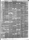 Bray and South Dublin Herald Saturday 29 June 1878 Page 3