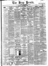 Bray and South Dublin Herald Saturday 21 September 1878 Page 1