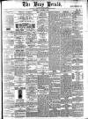 Bray and South Dublin Herald Saturday 05 October 1878 Page 1