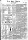 Bray and South Dublin Herald Saturday 09 November 1878 Page 1