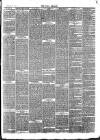 Bray and South Dublin Herald Saturday 01 February 1879 Page 3