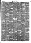 Bray and South Dublin Herald Saturday 08 February 1879 Page 3