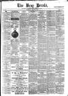 Bray and South Dublin Herald Saturday 22 March 1879 Page 1