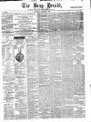 Bray and South Dublin Herald Saturday 03 January 1880 Page 1