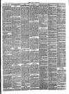 Bray and South Dublin Herald Saturday 17 January 1880 Page 3