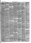 Bray and South Dublin Herald Saturday 24 January 1880 Page 3