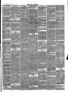 Bray and South Dublin Herald Saturday 21 February 1880 Page 3