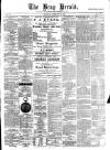 Bray and South Dublin Herald Saturday 28 February 1880 Page 1