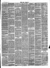 Bray and South Dublin Herald Saturday 28 February 1880 Page 3