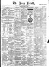Bray and South Dublin Herald Saturday 13 March 1880 Page 1