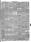 Bray and South Dublin Herald Saturday 13 March 1880 Page 3