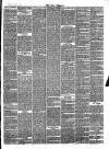 Bray and South Dublin Herald Saturday 20 March 1880 Page 3