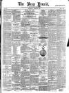Bray and South Dublin Herald Saturday 27 March 1880 Page 1