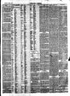 Bray and South Dublin Herald Saturday 17 April 1880 Page 3