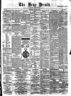 Bray and South Dublin Herald Saturday 19 June 1880 Page 1