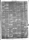 Bray and South Dublin Herald Saturday 26 June 1880 Page 3