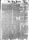 Bray and South Dublin Herald Saturday 20 November 1880 Page 1