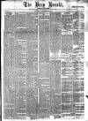 Bray and South Dublin Herald Saturday 27 November 1880 Page 1