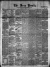 Bray and South Dublin Herald Saturday 14 January 1882 Page 1