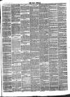 Bray and South Dublin Herald Saturday 24 February 1883 Page 3