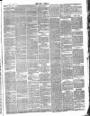 Bray and South Dublin Herald Saturday 10 March 1883 Page 3