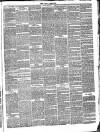 Bray and South Dublin Herald Saturday 24 March 1883 Page 3