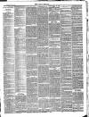 Bray and South Dublin Herald Saturday 03 November 1883 Page 3