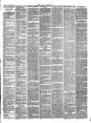 Bray and South Dublin Herald Saturday 05 April 1884 Page 3