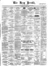Bray and South Dublin Herald Saturday 08 August 1885 Page 1