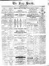 Bray and South Dublin Herald Saturday 02 January 1886 Page 1