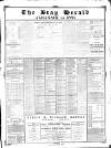 Bray and South Dublin Herald Saturday 02 January 1886 Page 5