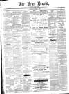 Bray and South Dublin Herald Saturday 10 April 1886 Page 1